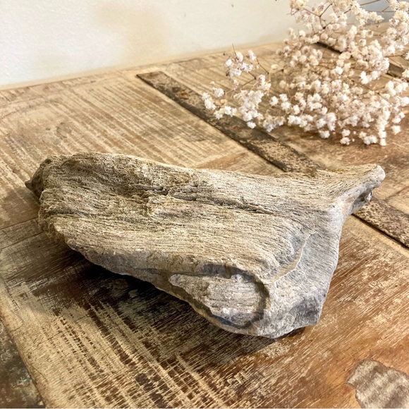 Coral Fossil Chunk 2lbs 8oz Light Grey Color Neutral Decor - Picture 2 of 13